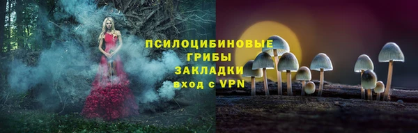 трава Нязепетровск