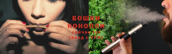 трава Нязепетровск