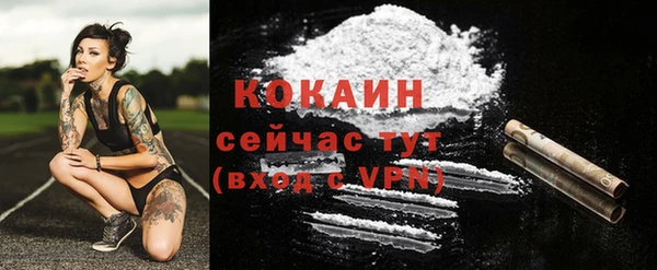 шишки Остров