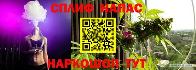 стафф Донской