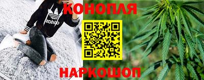 стафф Донской