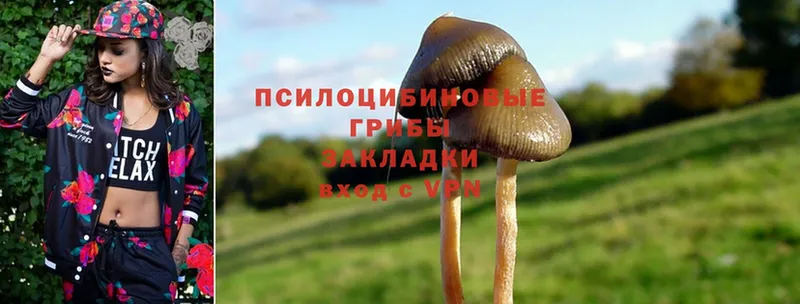 даркнет клад  Усолье-Сибирское  Псилоцибиновые грибы Magic Shrooms  мега как зайти 