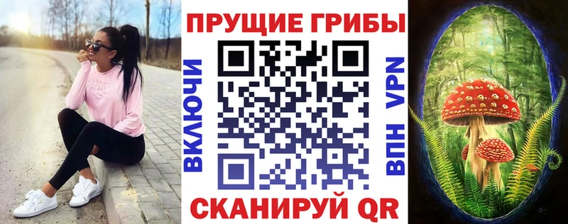 Галлюциногенные грибы Psilocybine cubensis  это клад  Усолье-Сибирское 